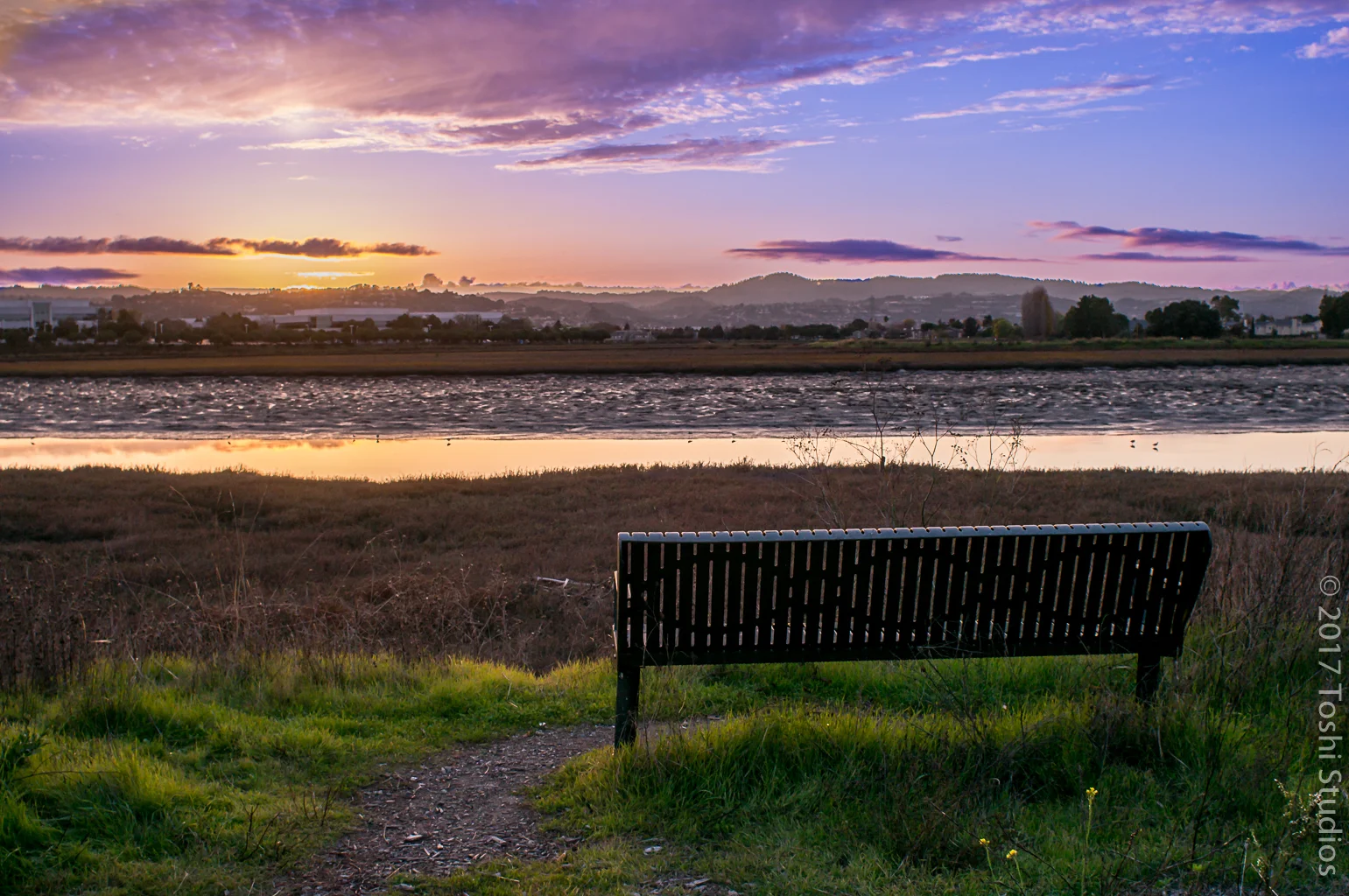 Sunset at Redwood Shores