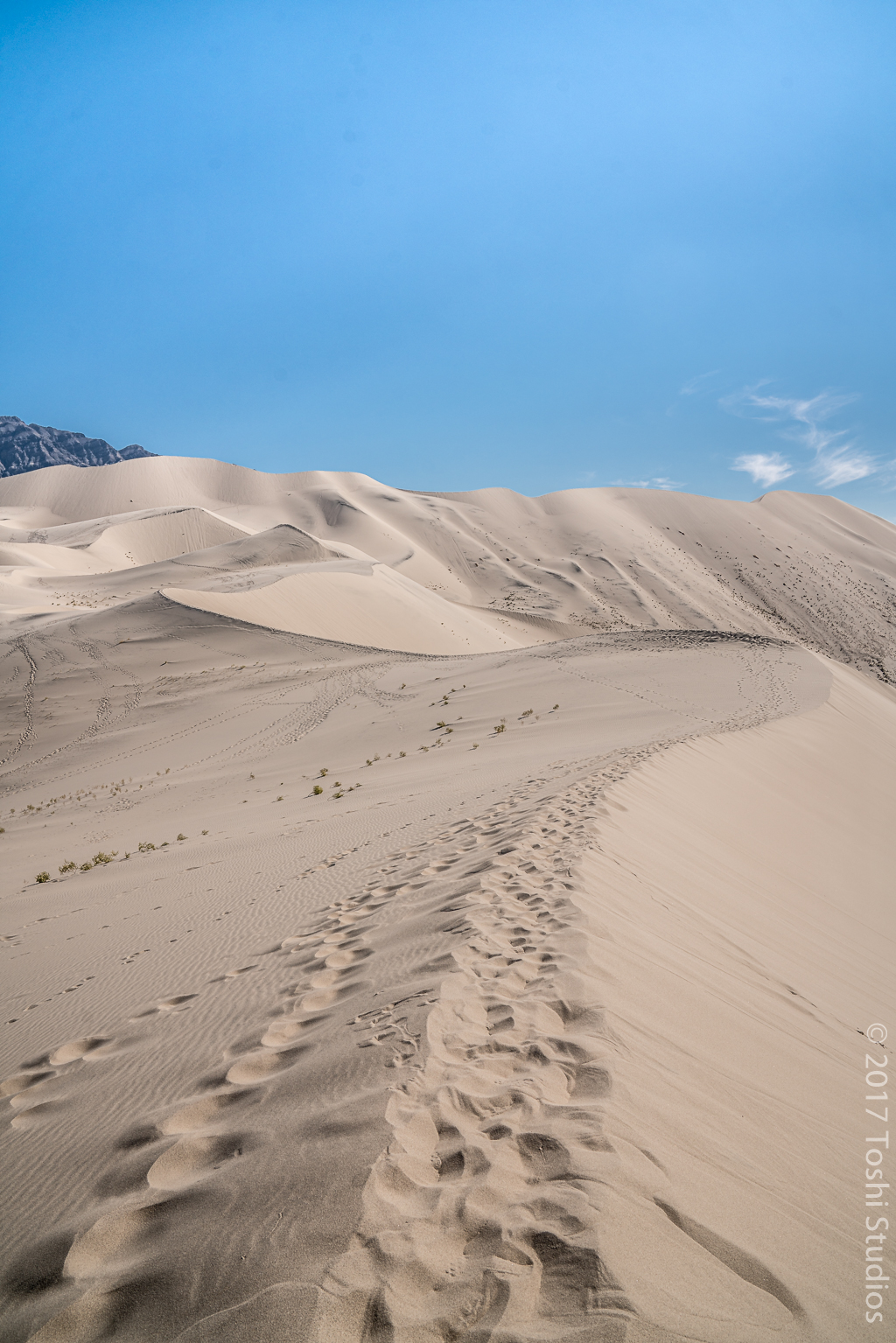 Eureka Sand Dunes tracks