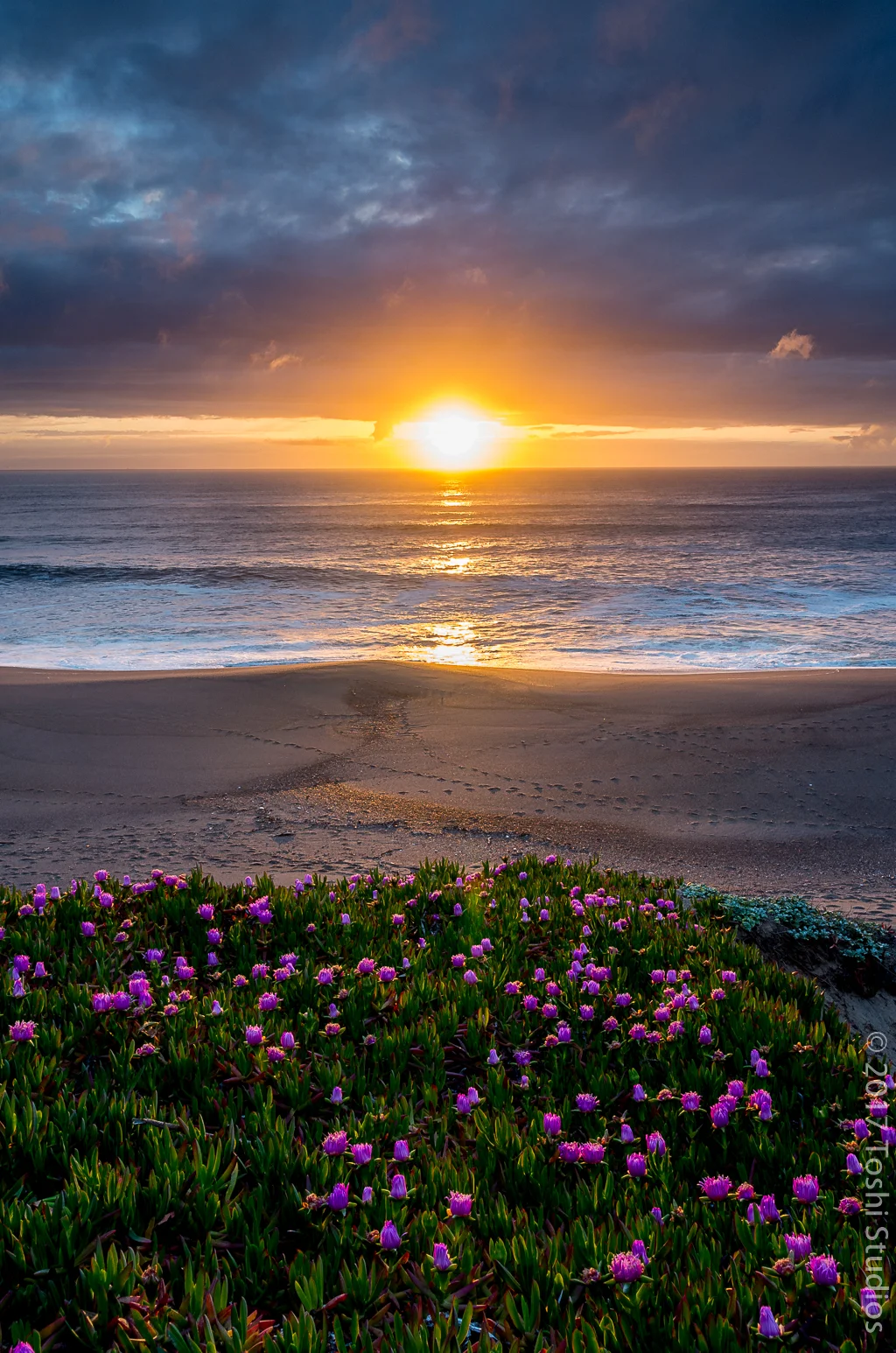  Sunset at Point Reyes, South Beach  Available as a print.  20160421 