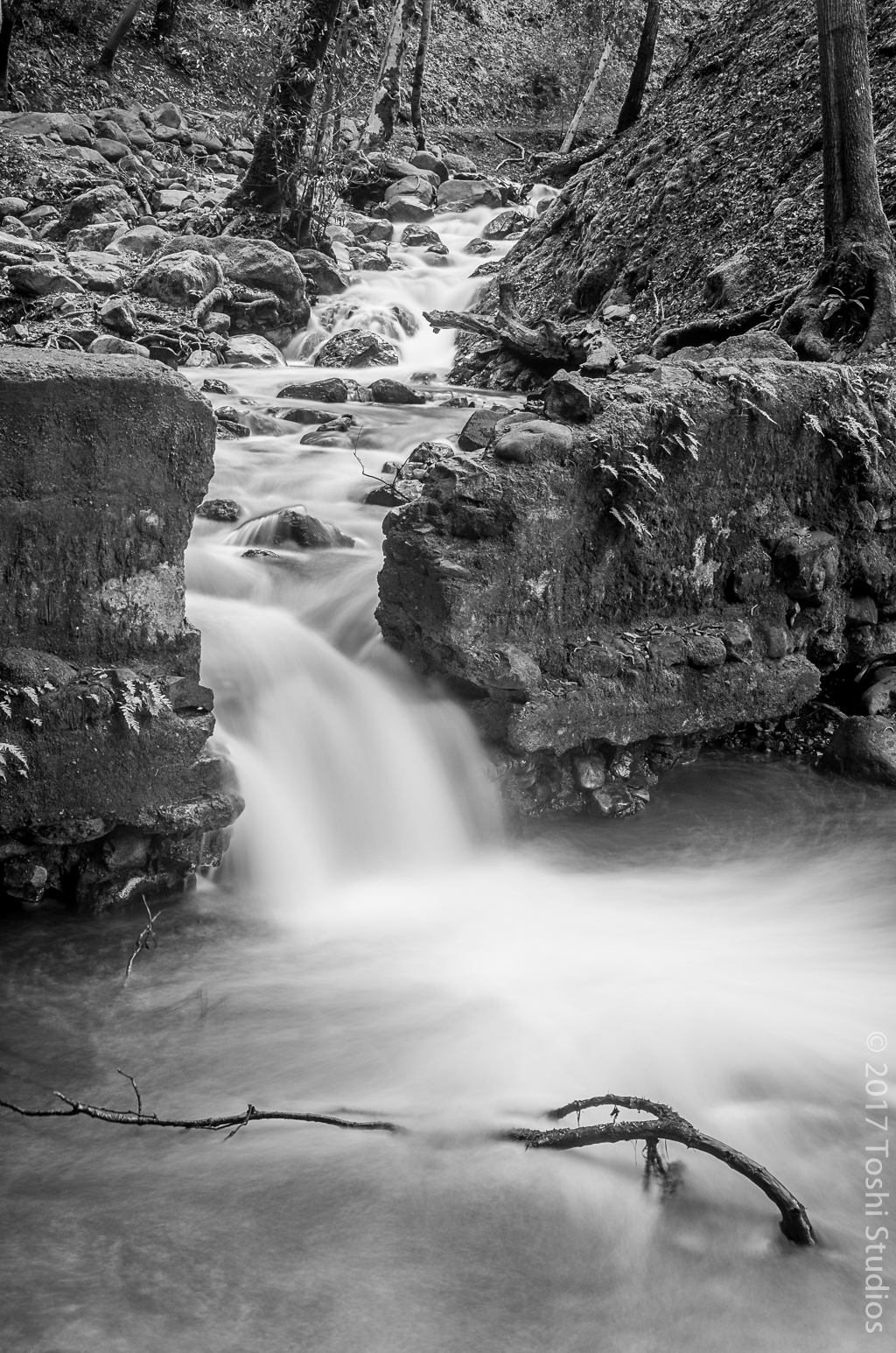  Available as a print.  20160124 