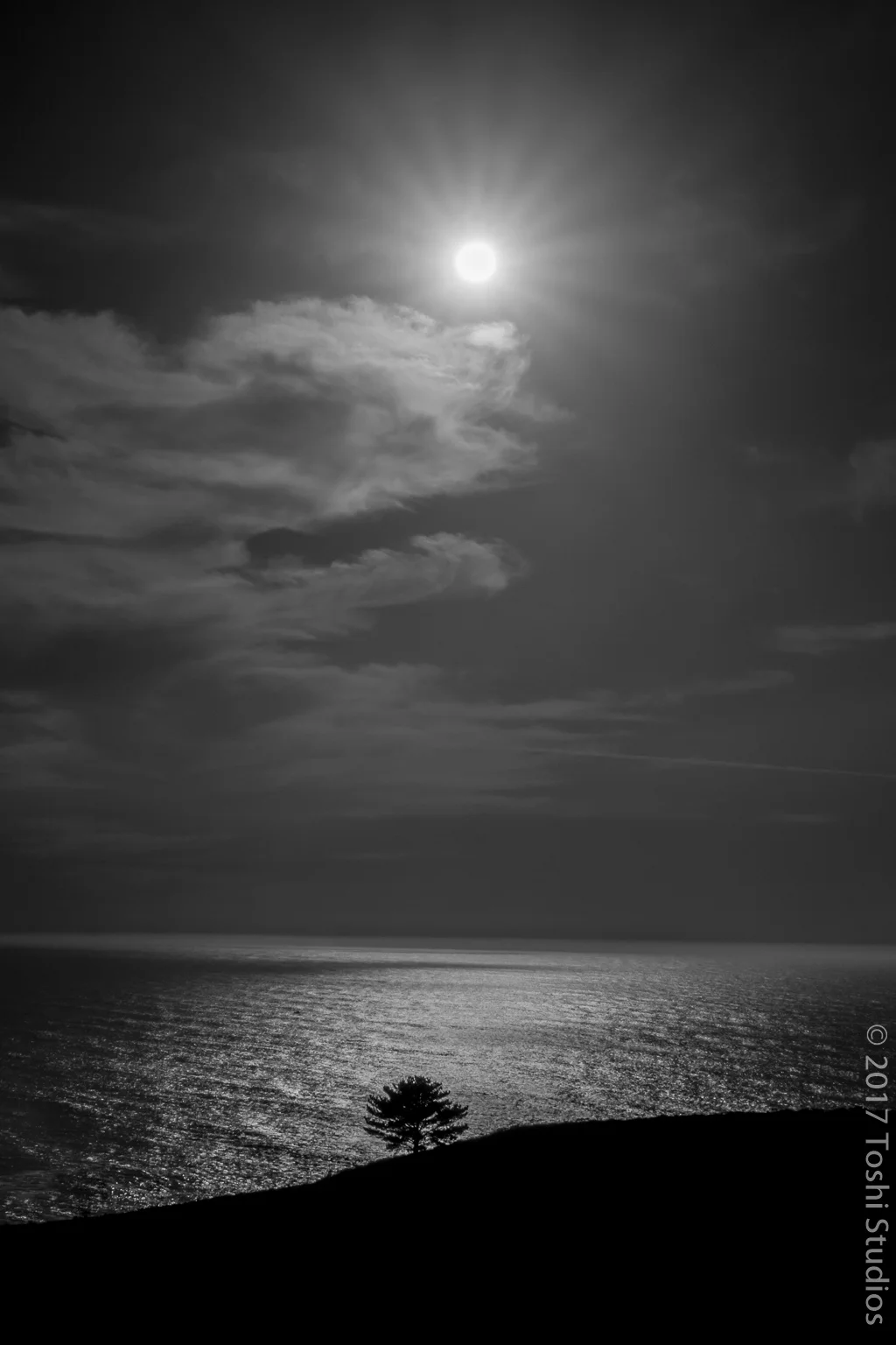  Tree on Montara Mountain.  Available as a print.  20171130 