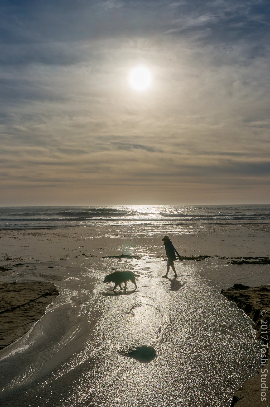 Woman and dog on beach