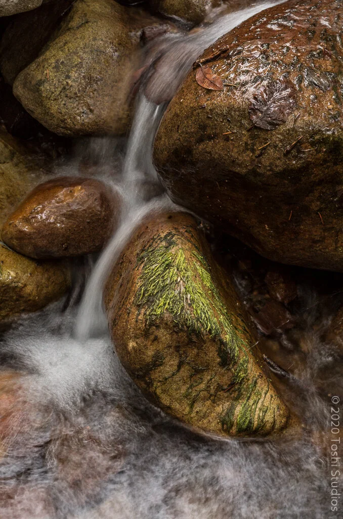  Waterfall at Uvas Canyon.  Available as a print.  20201022021 