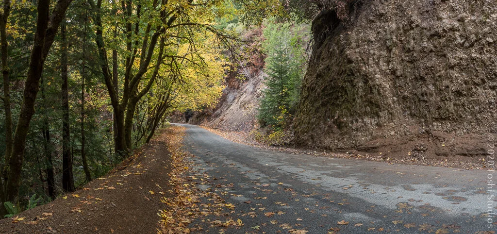 Fall colors on Gazos Creek Road