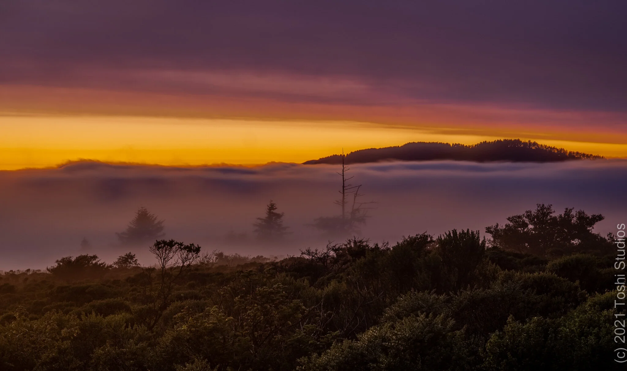  Sunset during California wildfires.  Cloud layer above, fog layer below.  Avaialble as a print  20210806/541 