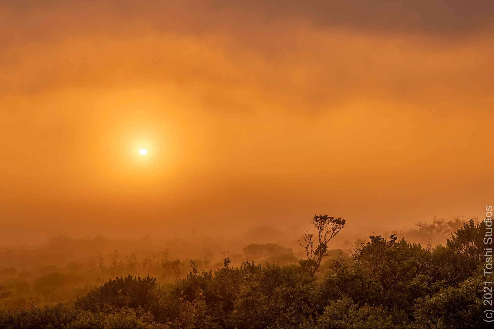  Sunset during California wildfires.  Available as a print.  20210806/298   