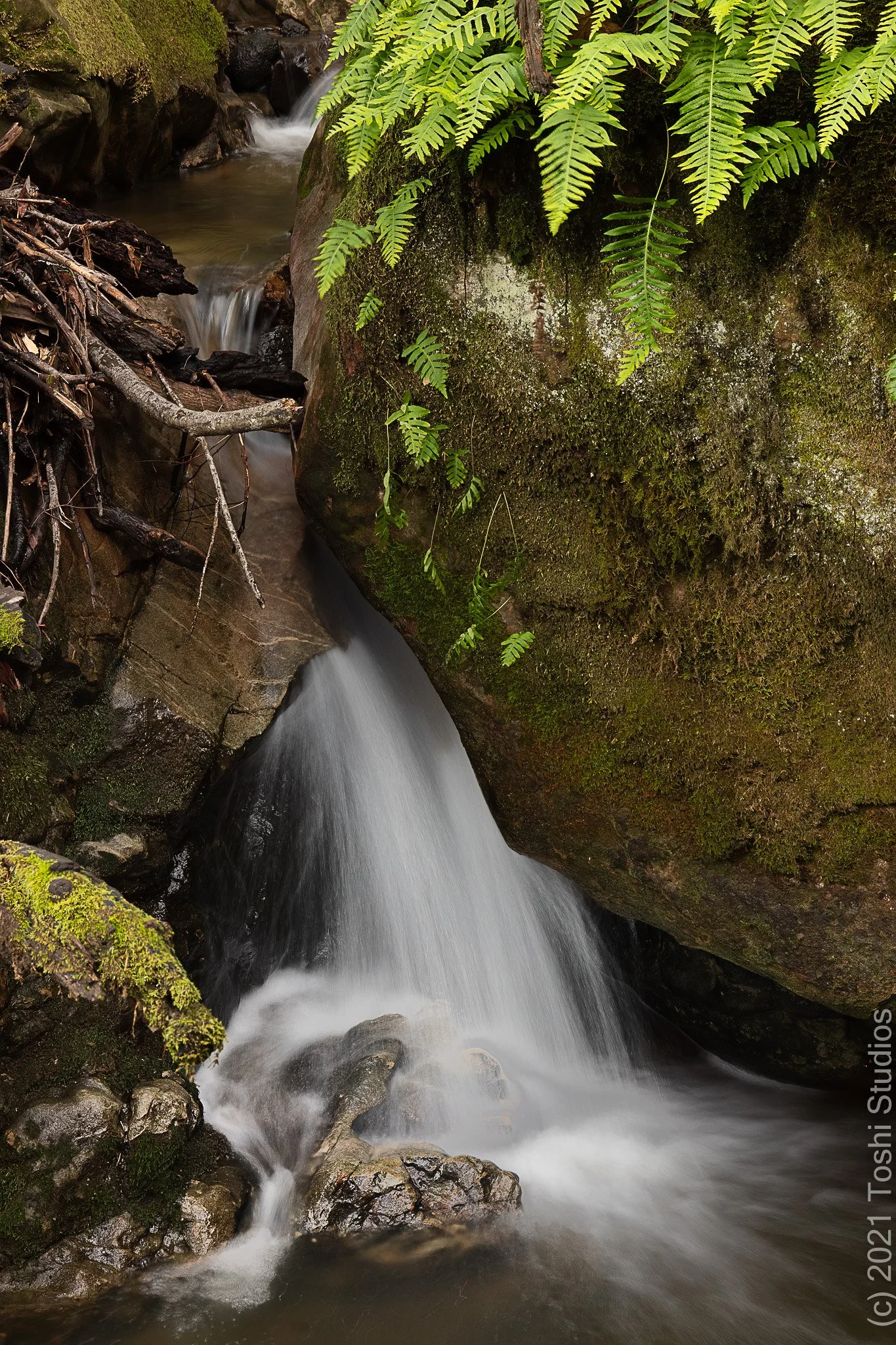 Coal Creek Open Space Preserve