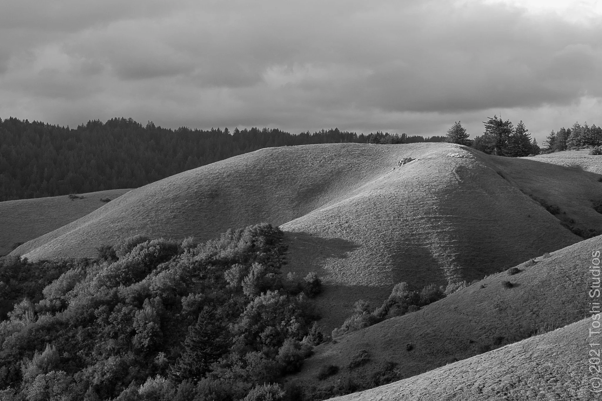Skyline Boulevard near Russain Ridge