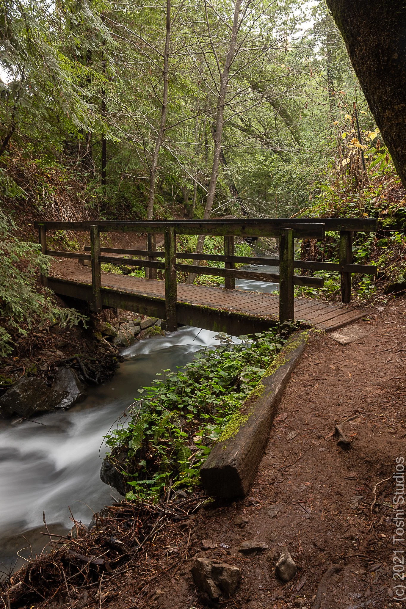 Bridge at Cascade Falls