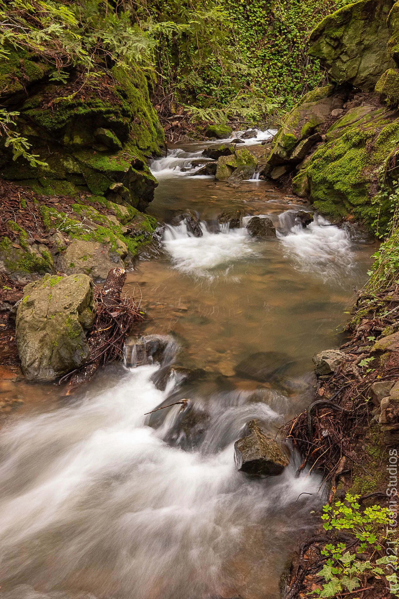 Rapids at Cascade Park