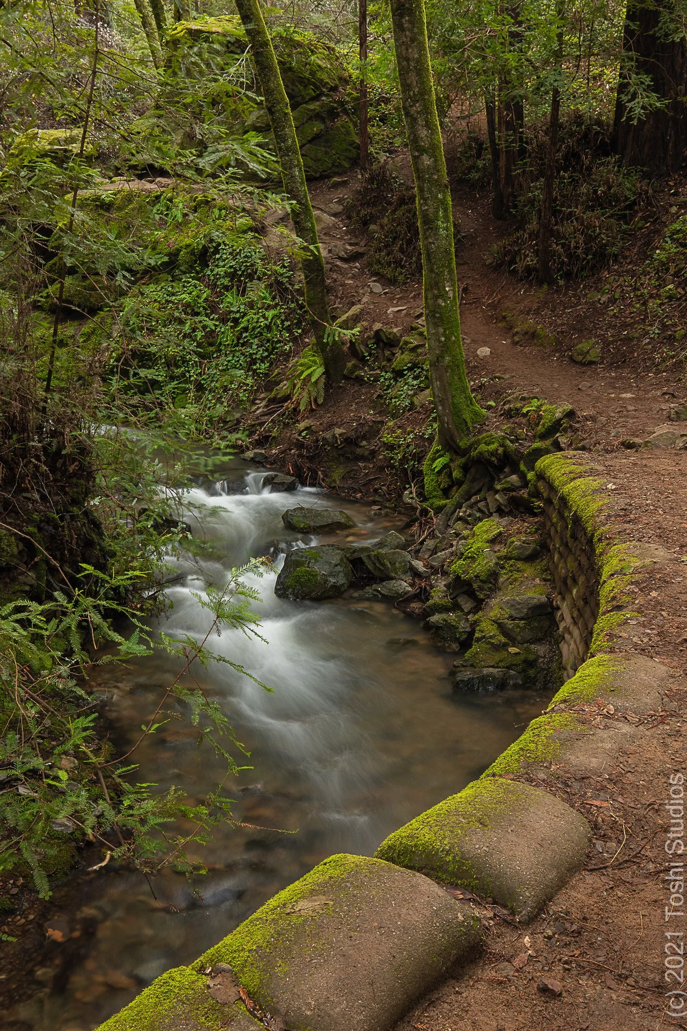 Cascade Park