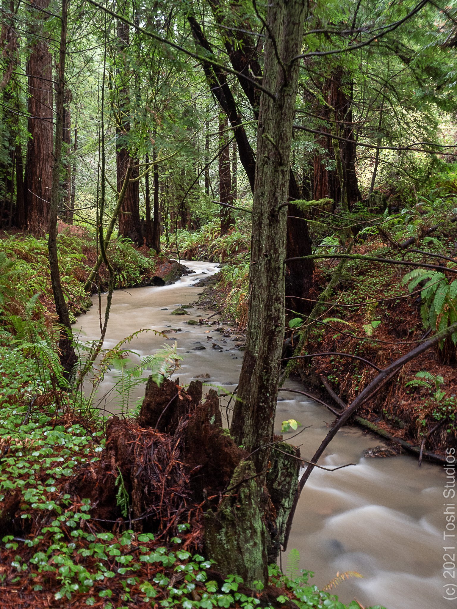  Available as a print  20211226079 