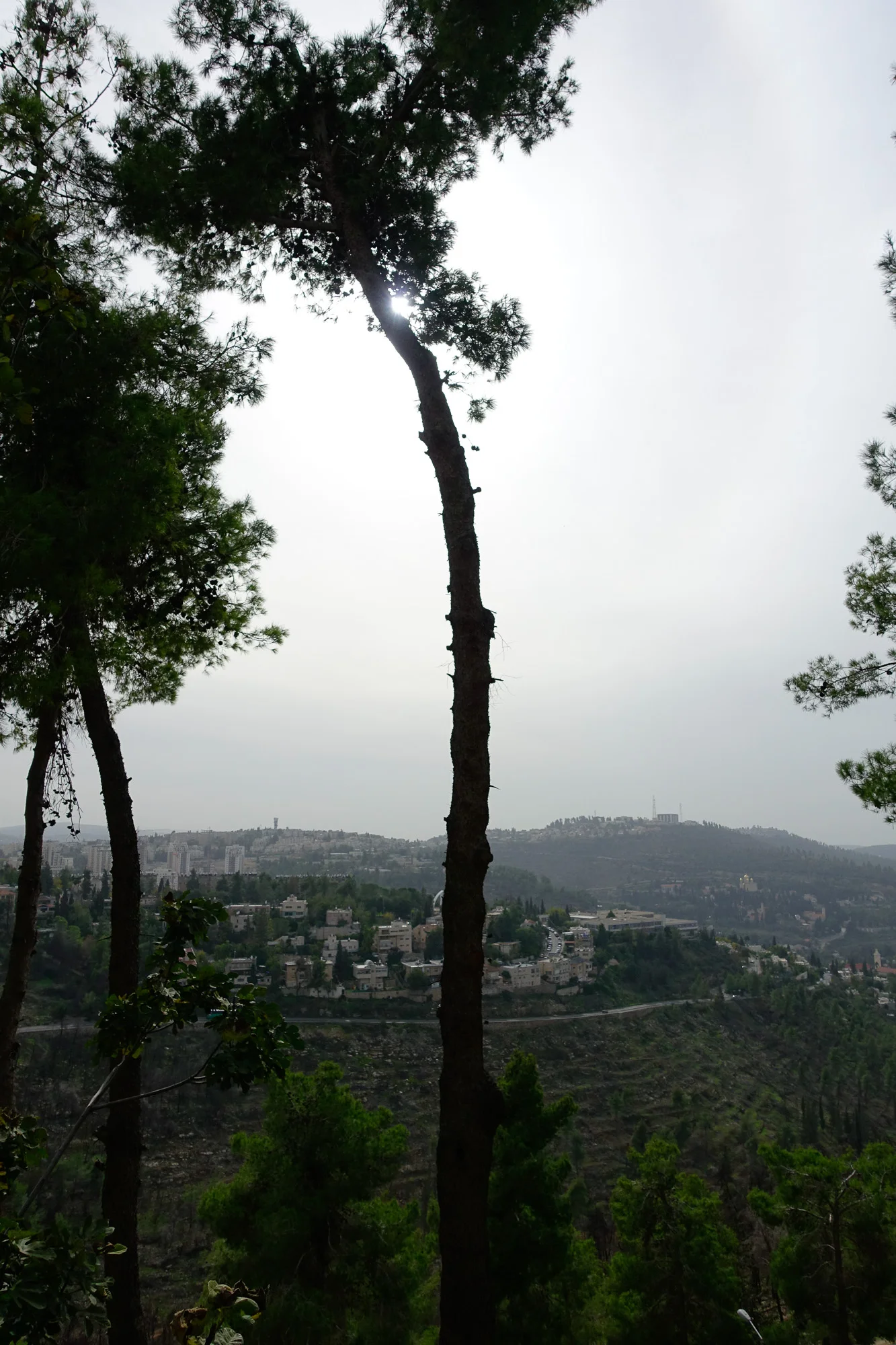 Israel_15©Merten (34 von 48).jpg