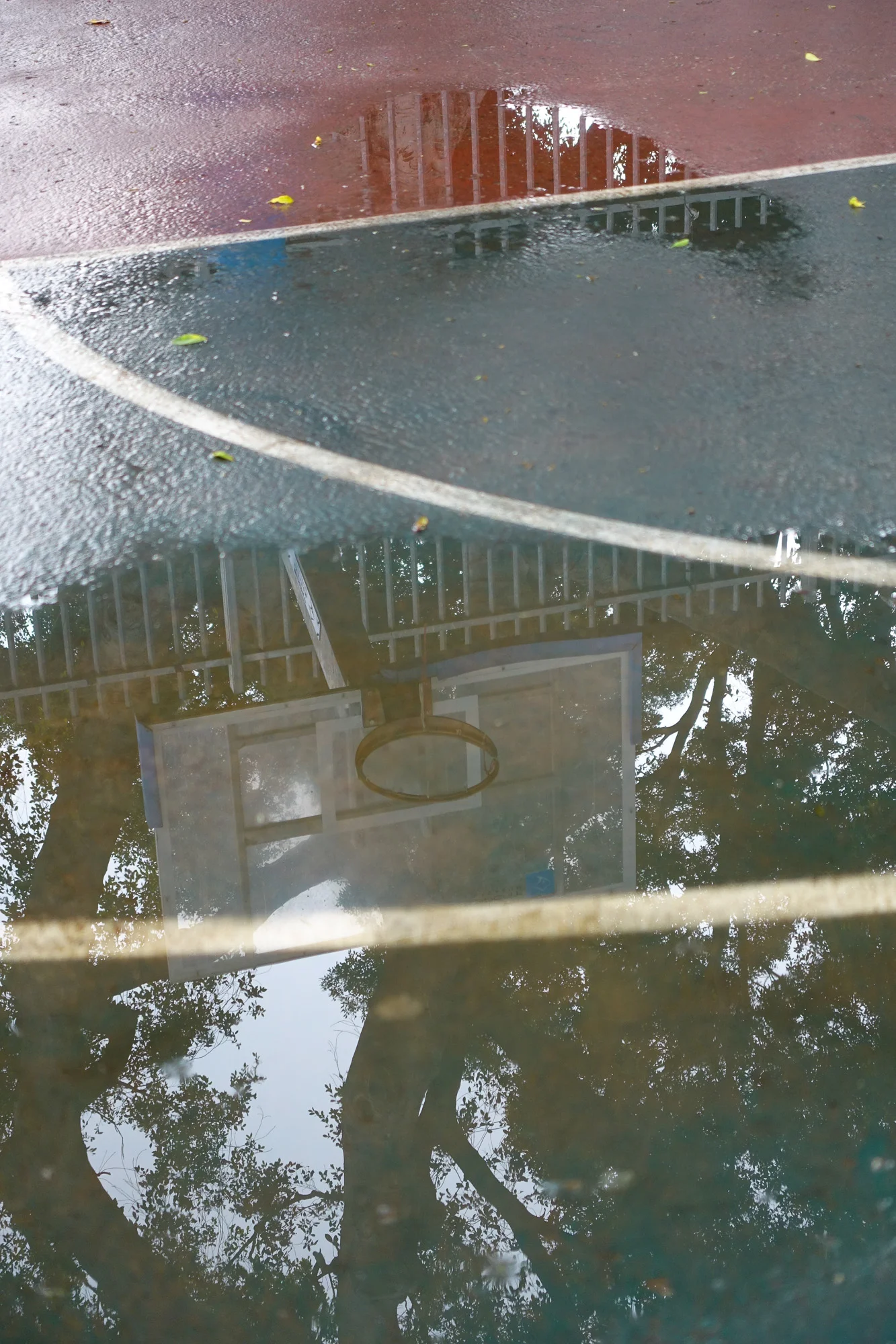 Israel_15©Merten (46 von 48).jpg