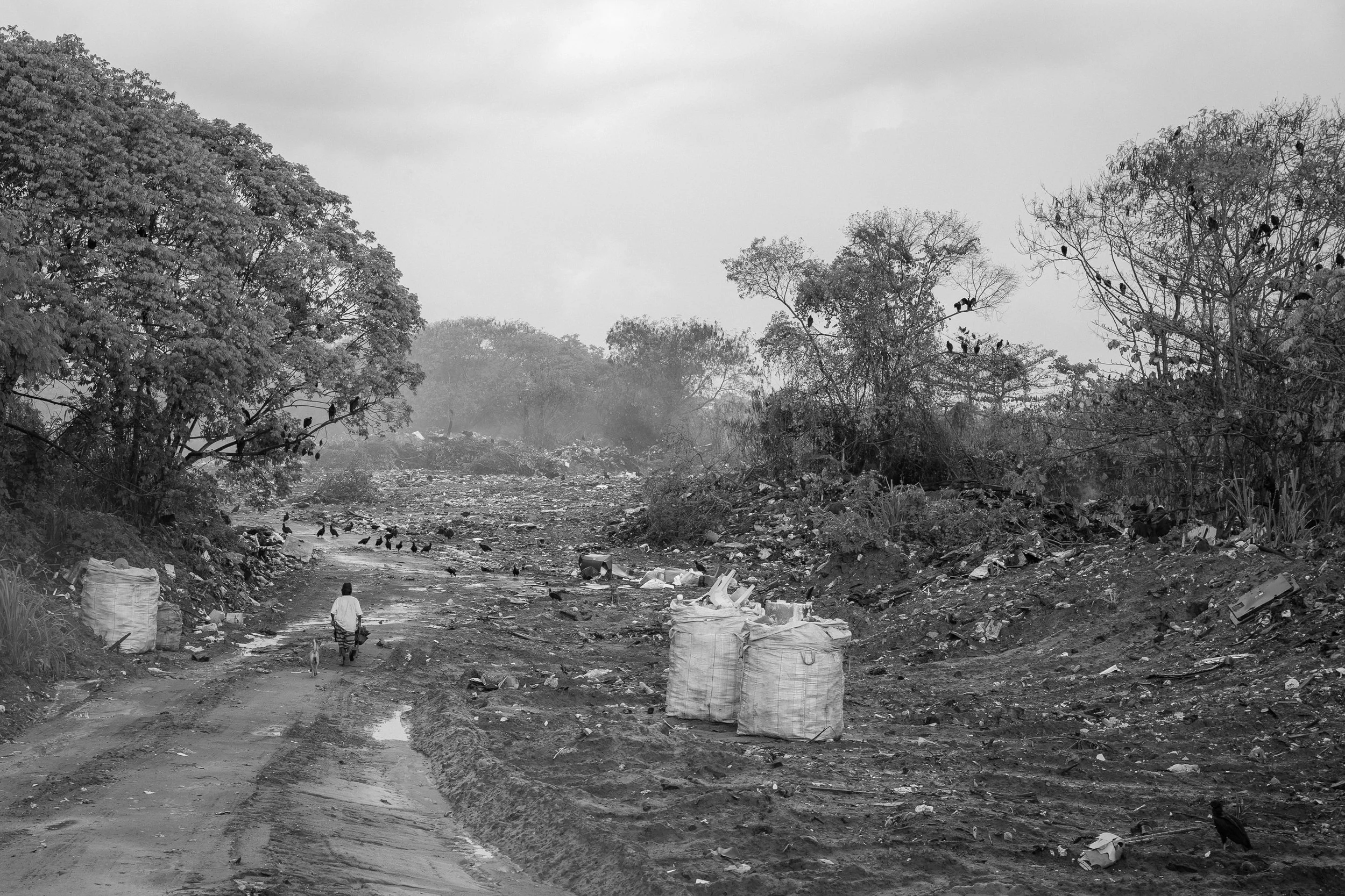 Bahia_25022025®Merten-2.jpg