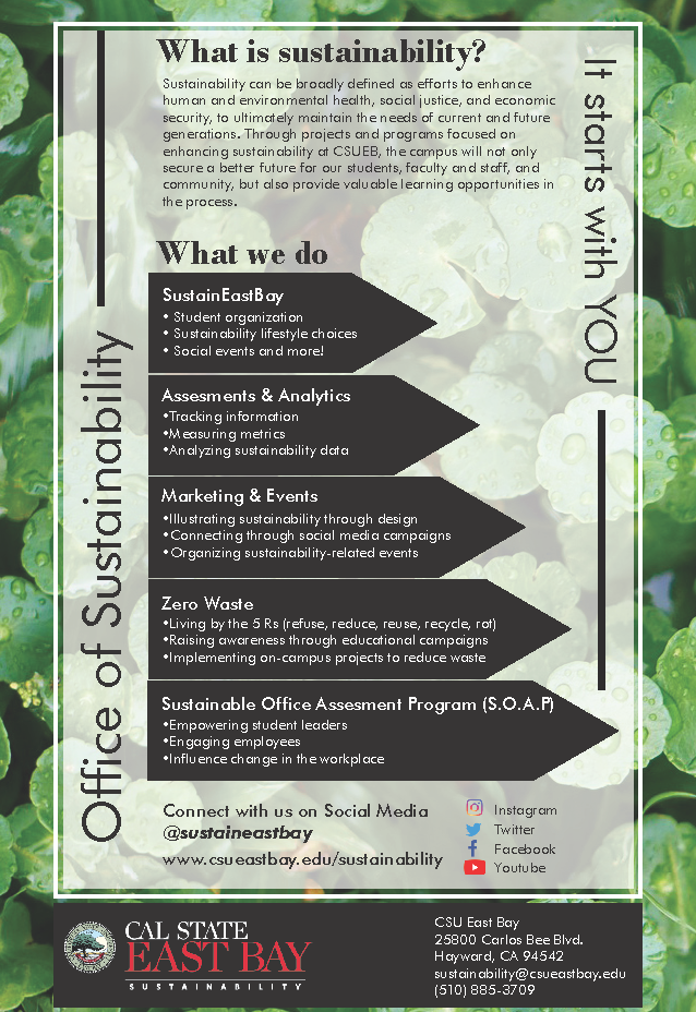 Sustainability Infographic