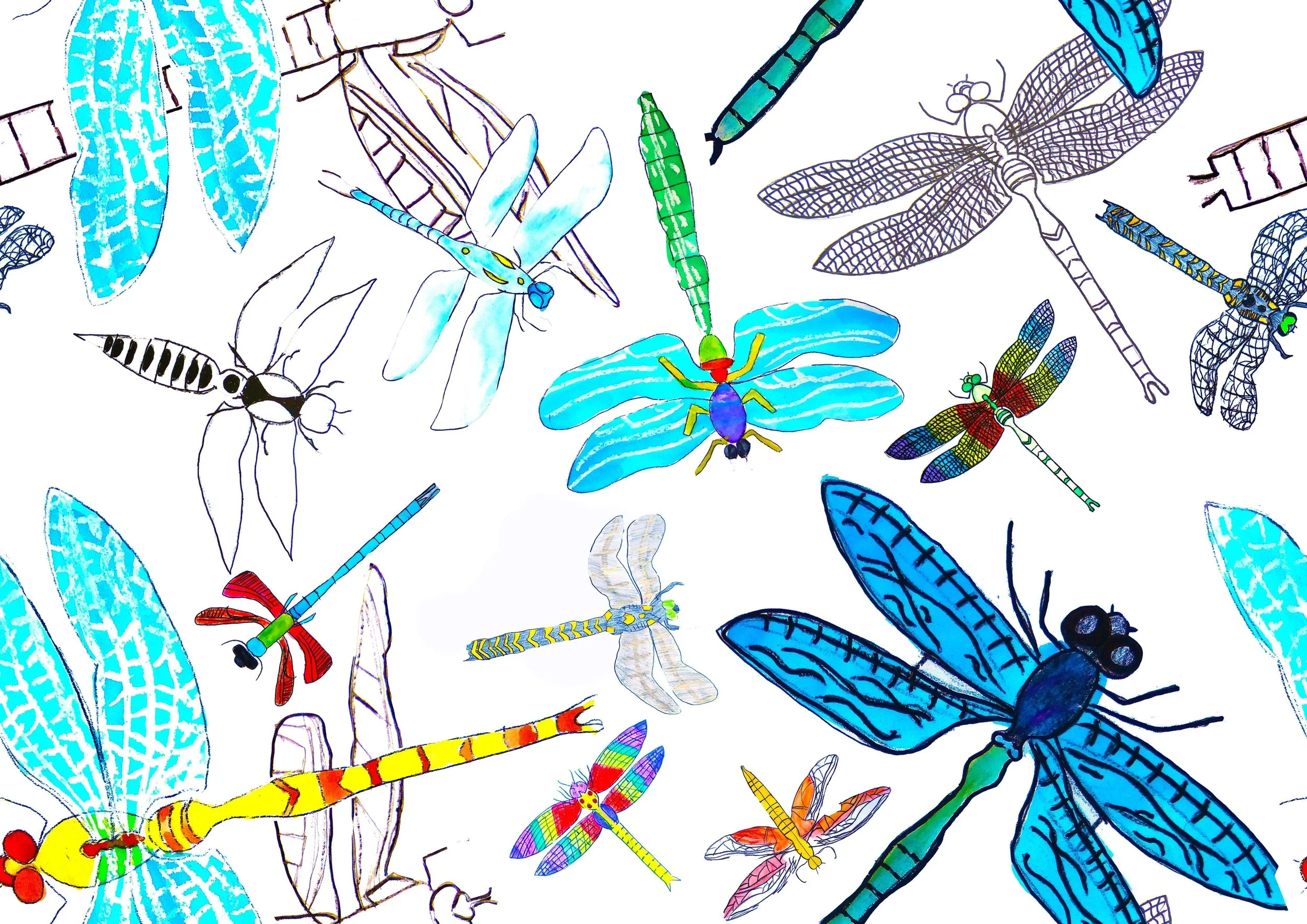 Dragonfly Wallpaper Escapeandmake