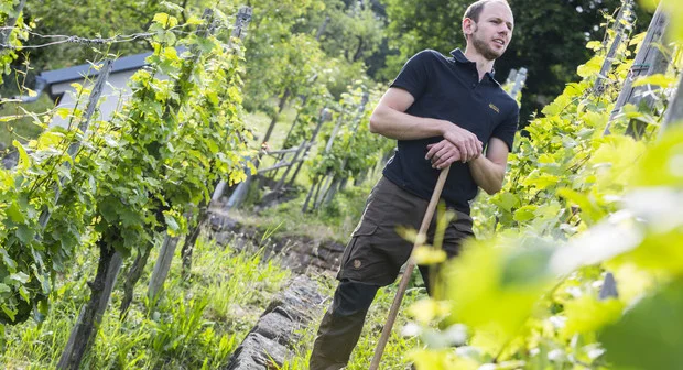 csm_Weingut_Idler124_9a08480bfc.jpg