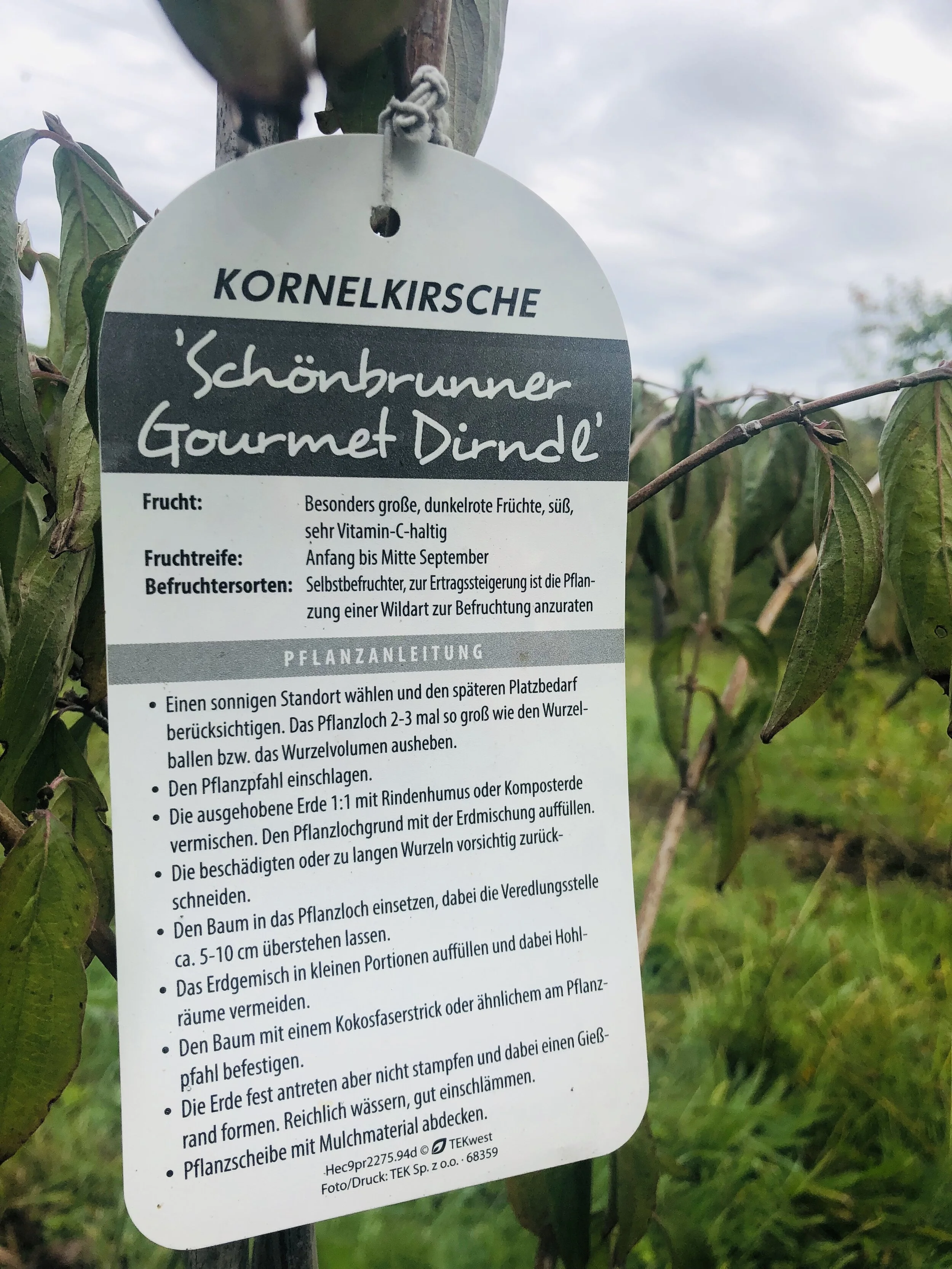 Schönbrunner Gourmet Dirndl - erhätlich in der Baumschule Entenmann