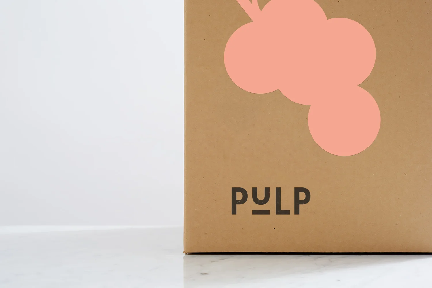 Friederike-Hamann-Pulp-Branding-7.jpg