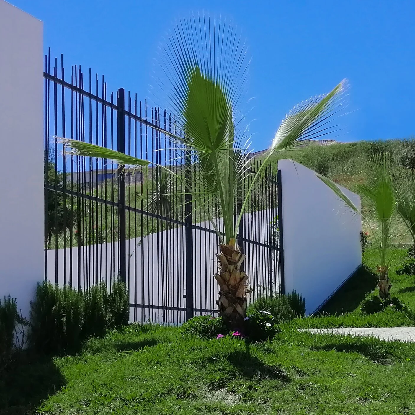 Extension d’une cour de récréation - Dely Brahim, Alger, Algérie.Le projet a porté sur l’extension de la cour d’un collège à Alger. Notre mission a été l’agrandissement de la cour d’une surface initiale de 210m², le traitement des limites et la valo…