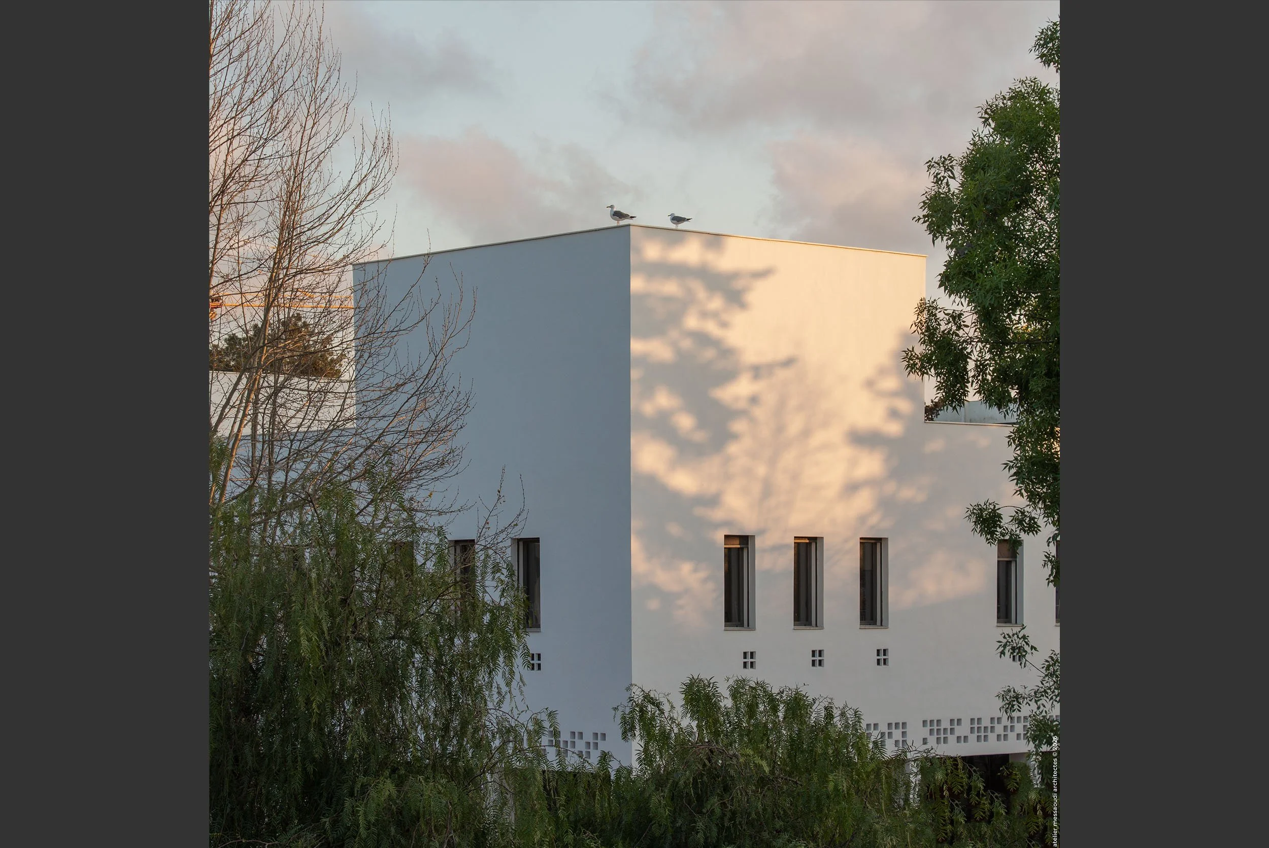 8_LIAD_Alger_Architecte.jpg