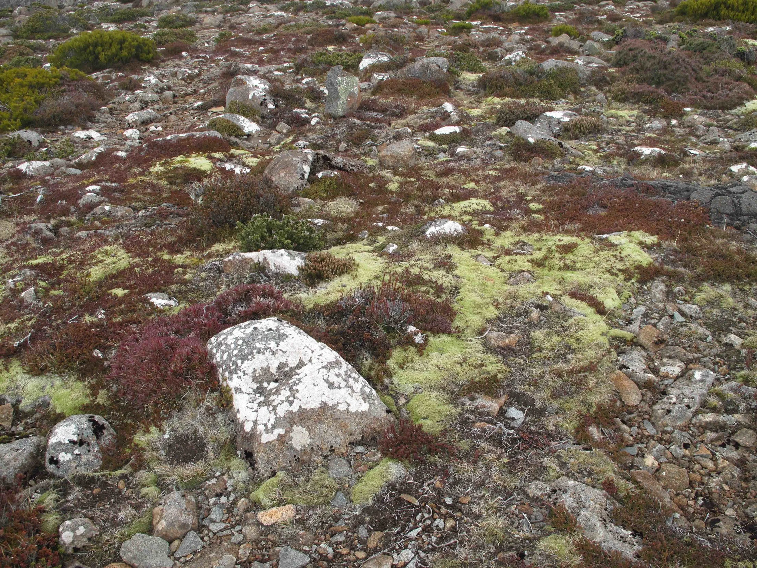 MtWellington_21June2017_2 2.jpg