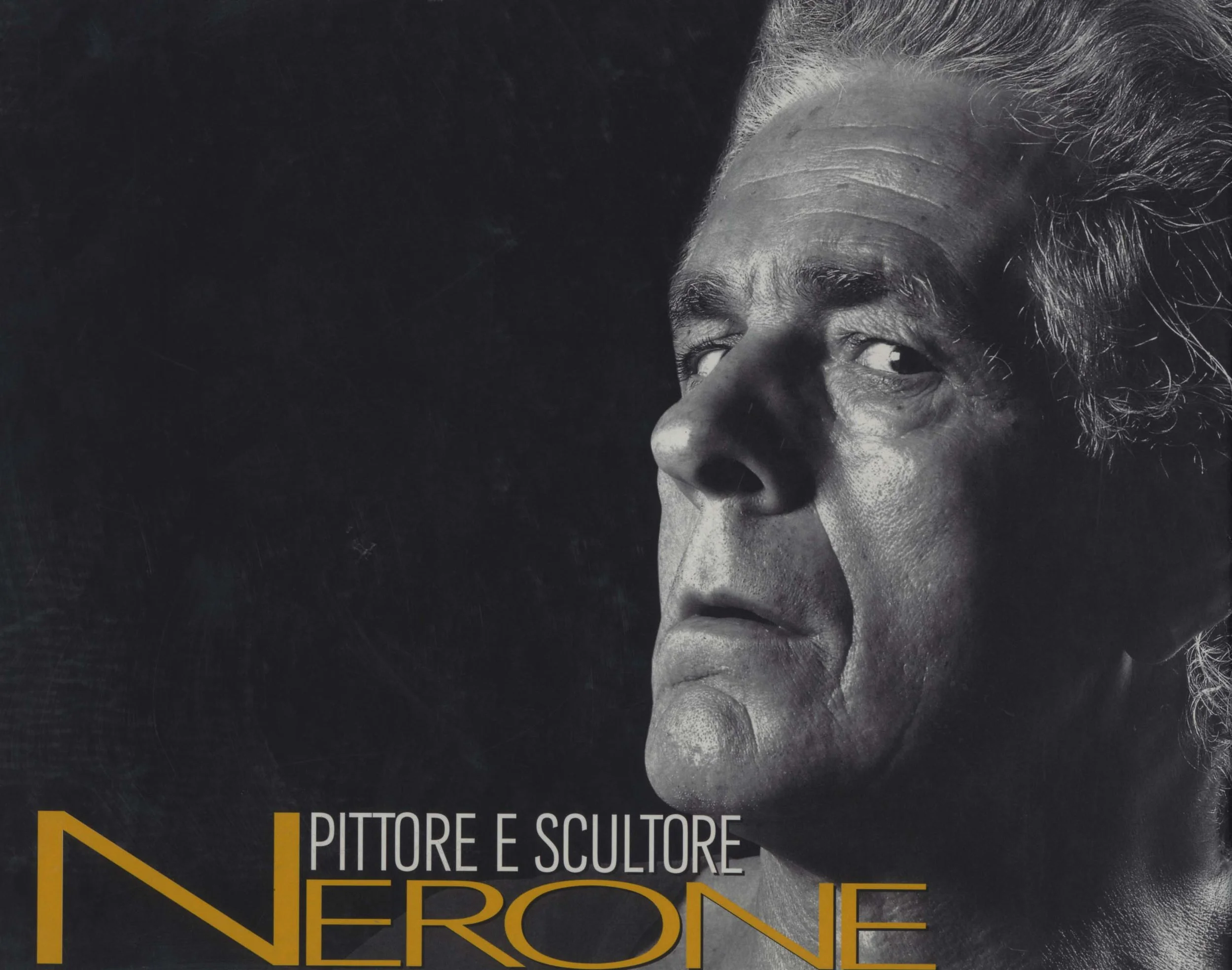 AA.VV., Nerone pittore e scultore , catalogo della mostra, Gualtieri (RE), Palazzo Bentivoglio, 3 aprile - 13 giugno 2004, Augusto Agosta Tota editore, Parma, 2004.