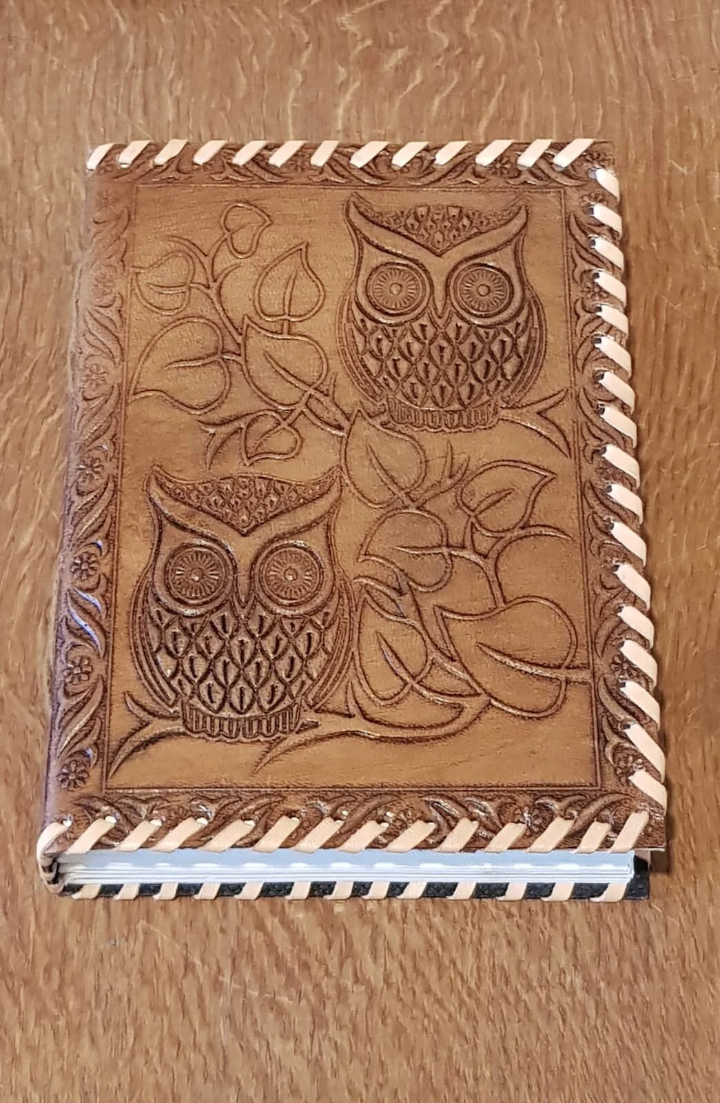 owl and leave book.jpeg