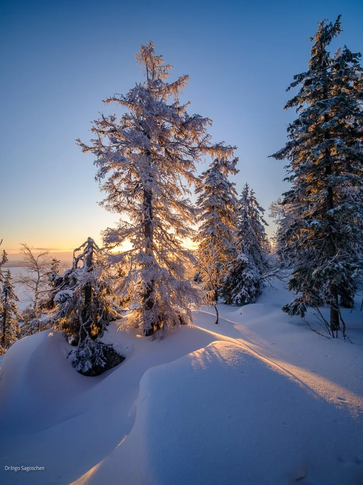 sunrise koli
