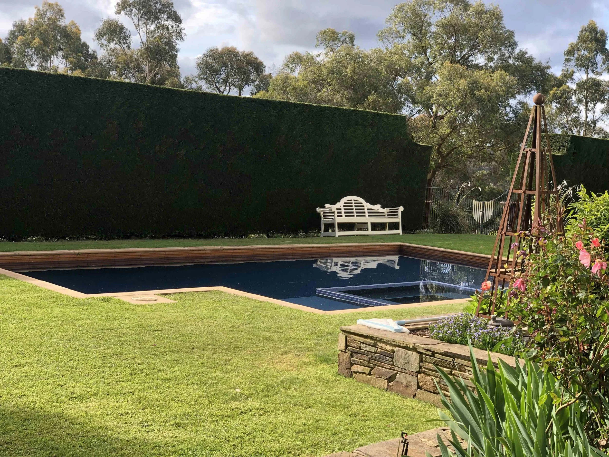 ModernHedge_HedgeTrim_Merricks.jpg
