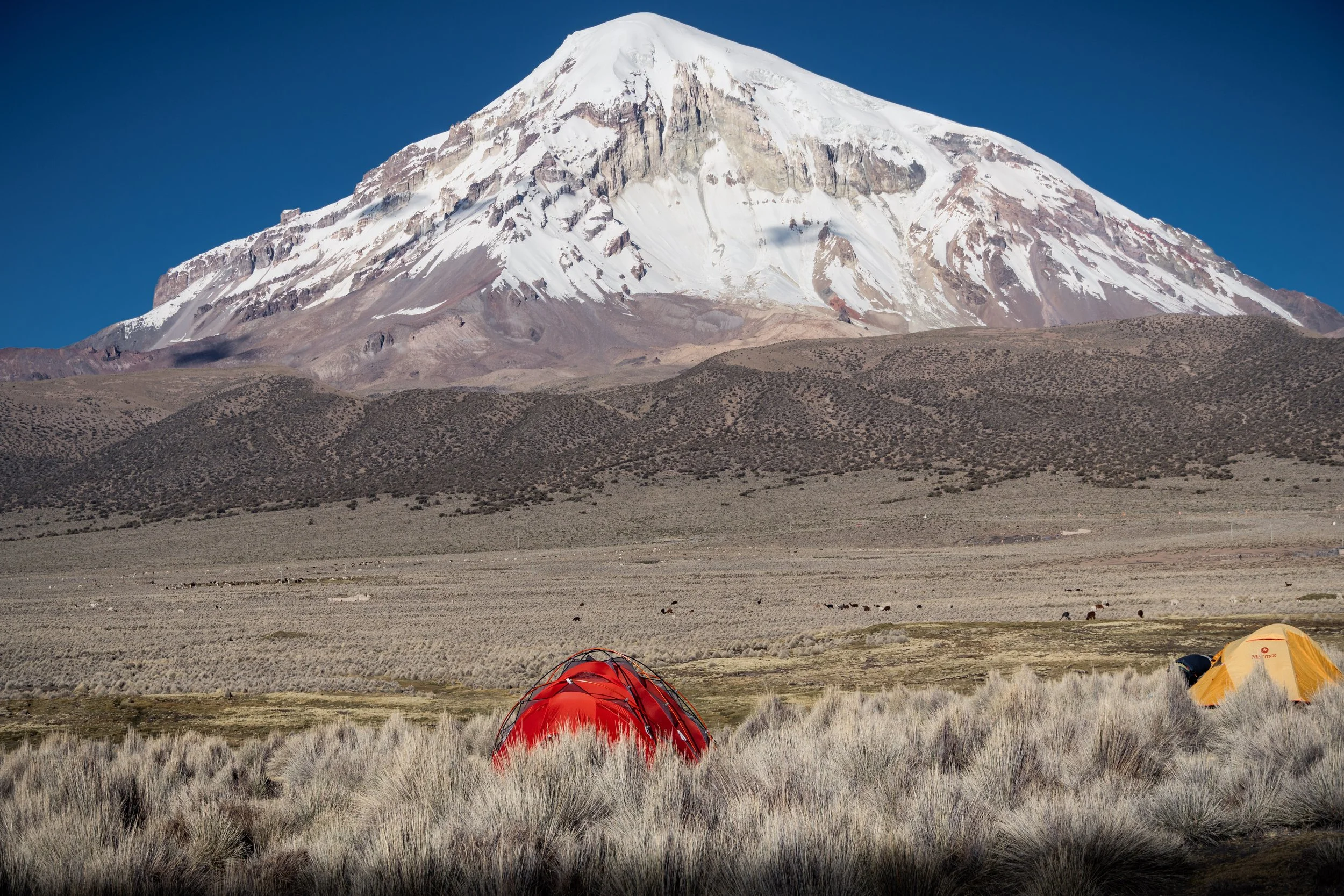 2025_05_16 - Bolivien-289.jpg