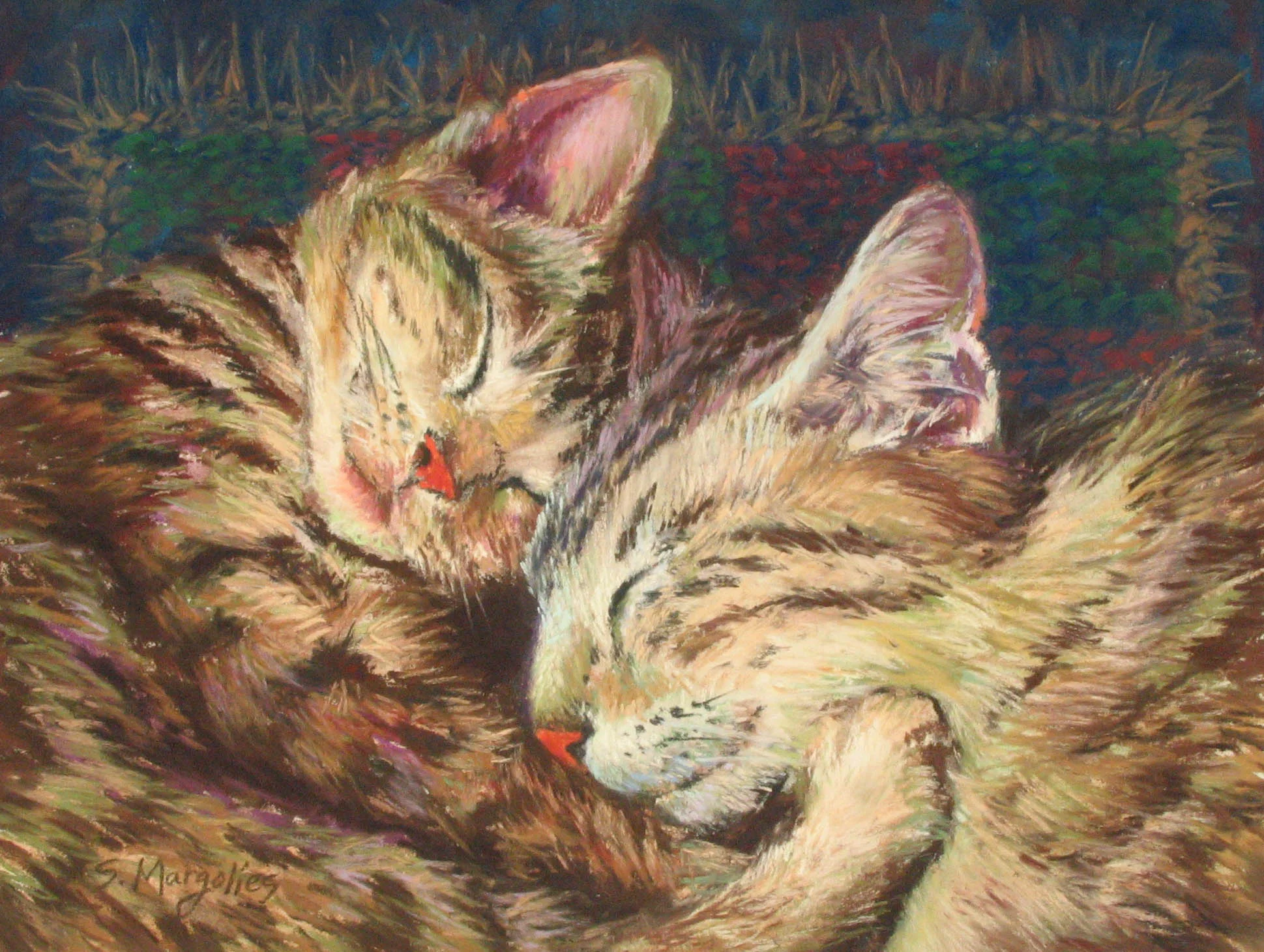 Cat Nap