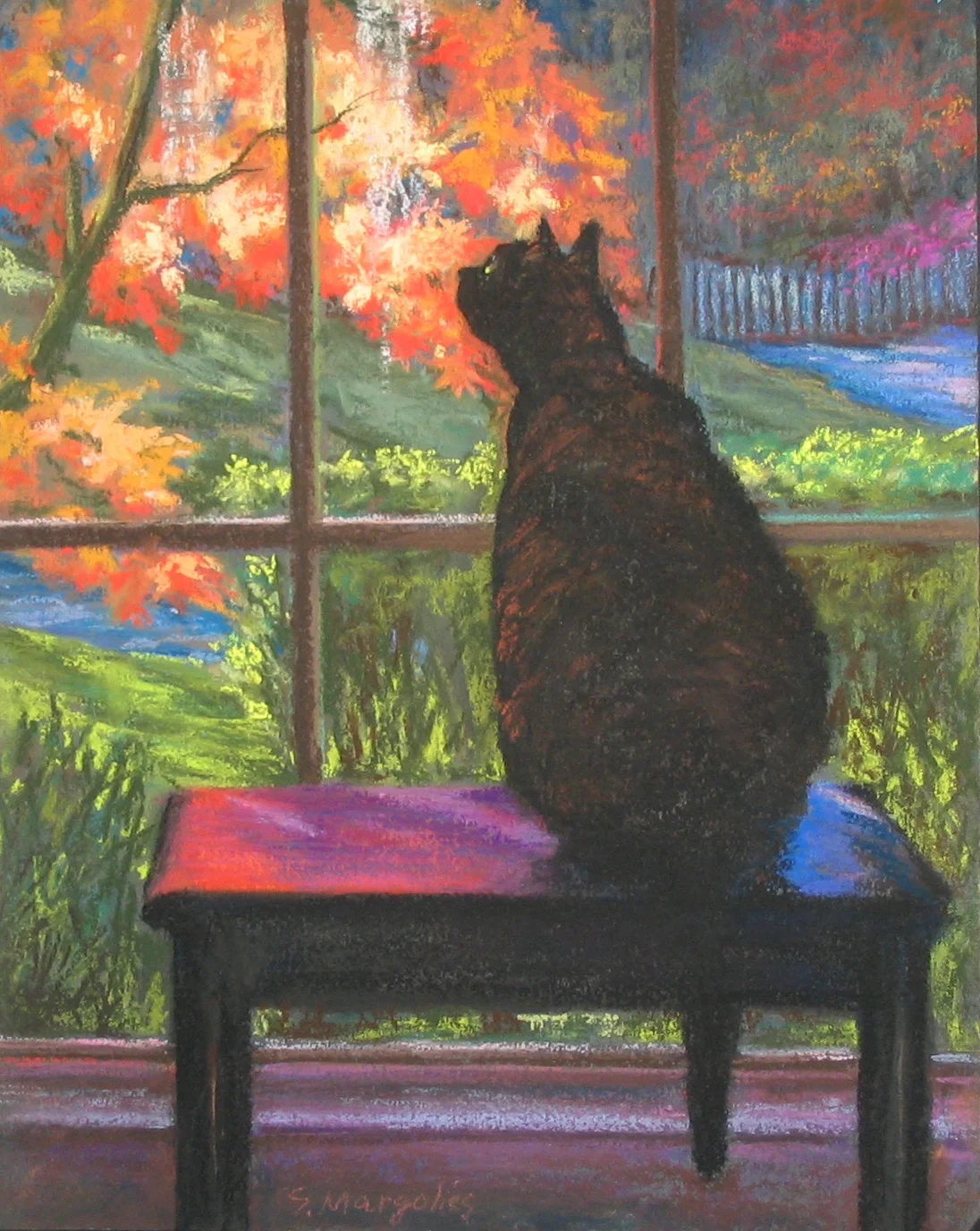 My Cat's Perspective