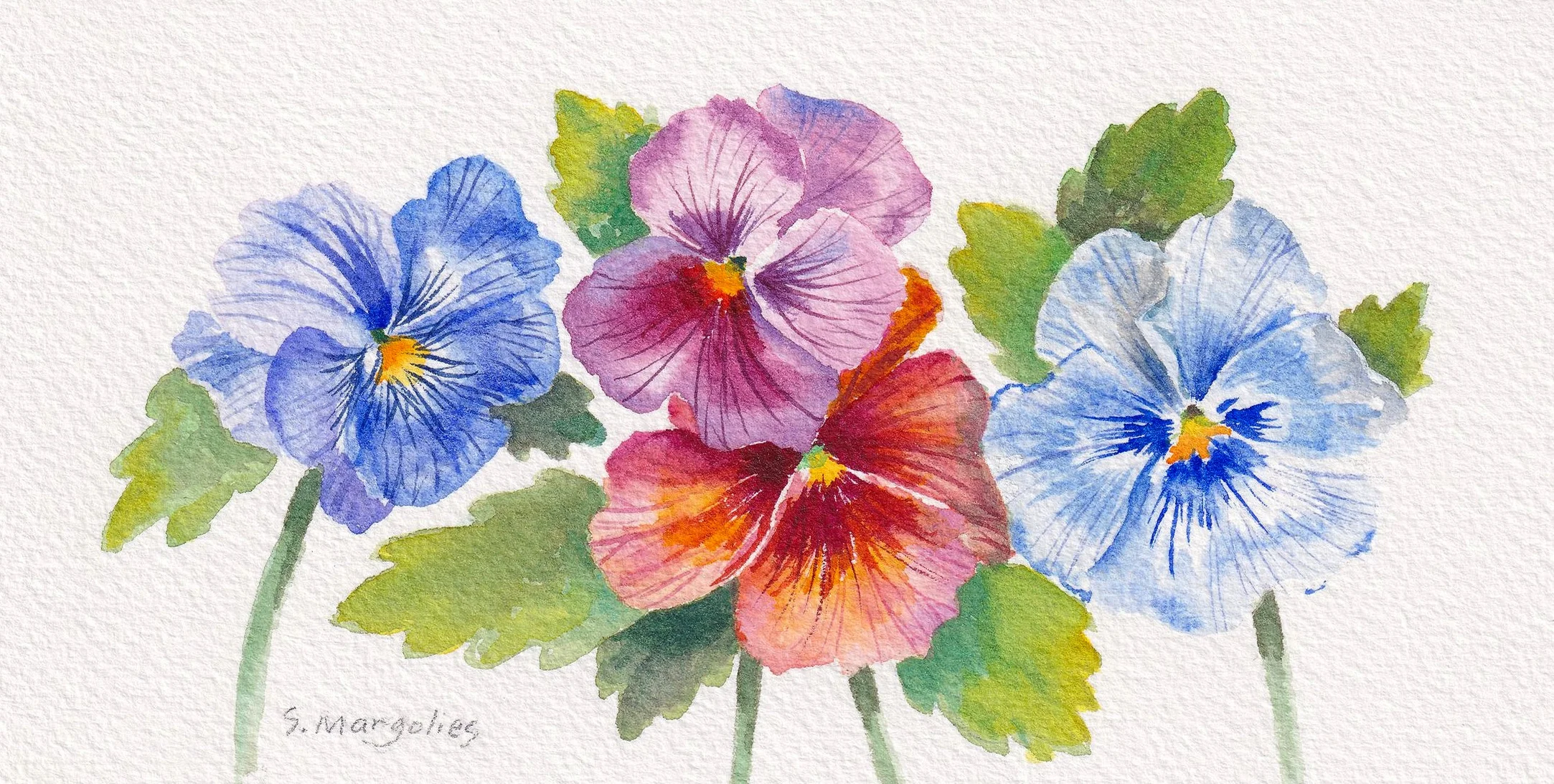 Pansies