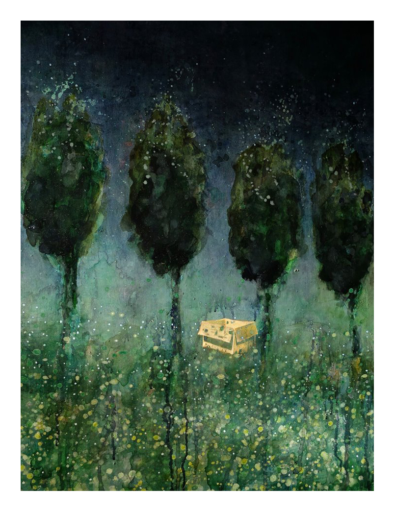 "Cardboard box in a forest". 