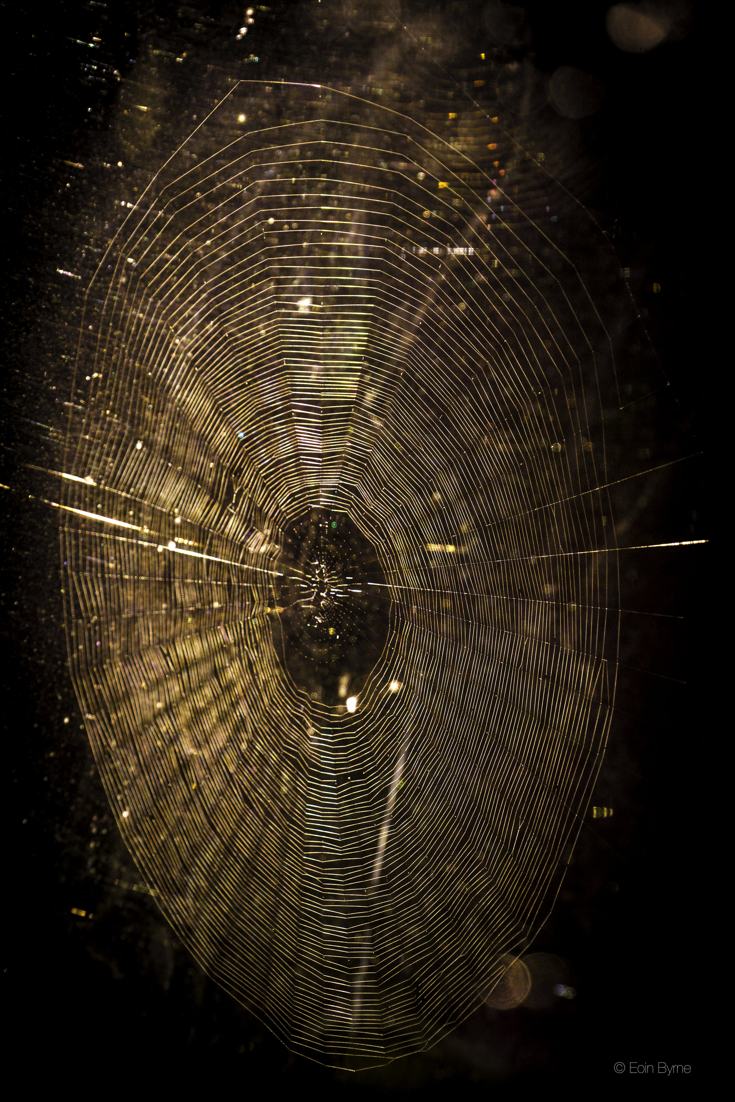 Spider's web through a dirty window colour.jpg