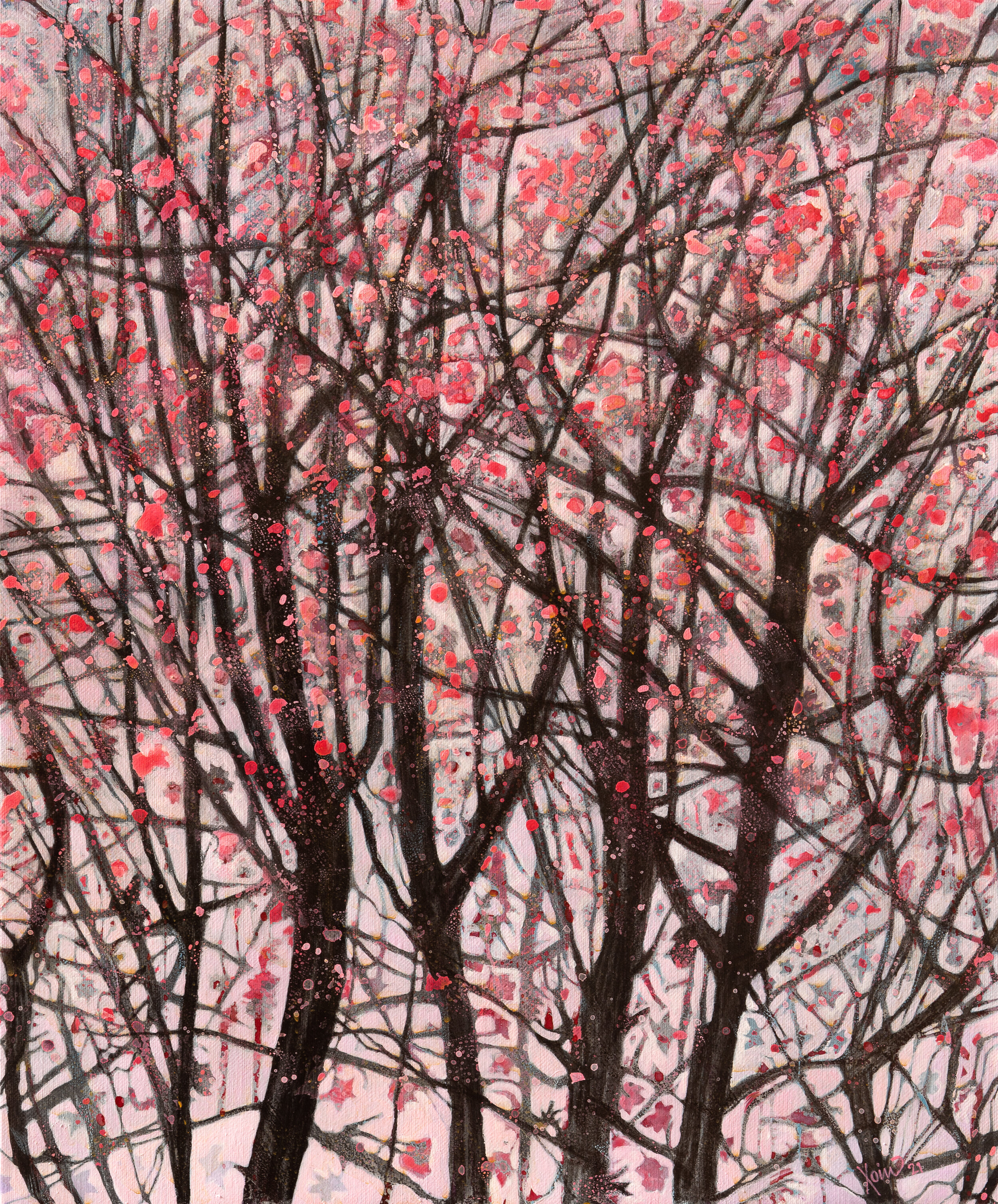 "Looking up through blossom" 50cm x 60cm, (framed) Charcoal/Acrylic on Linen 2021