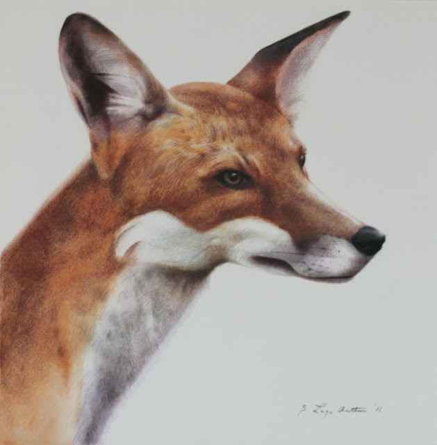 image1 (84).jpeg