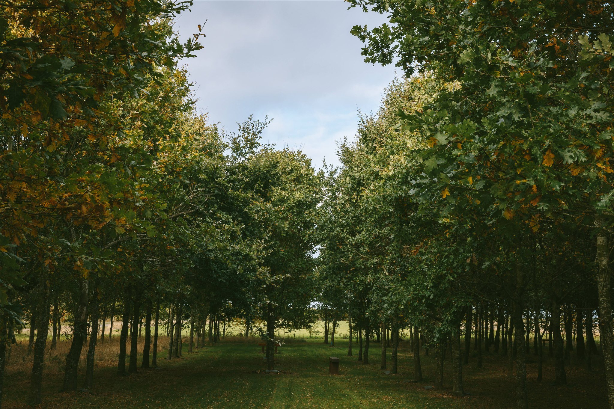 Northumbrian-Woodland-Burials-Oct22-057.jpg