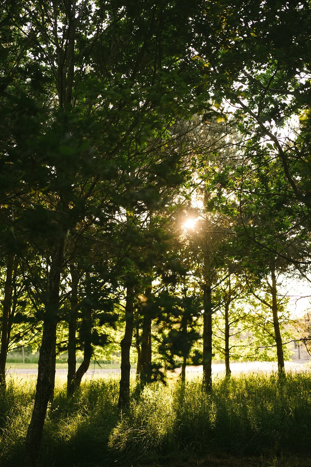 Gallery — Woodland Burial & Crematorium