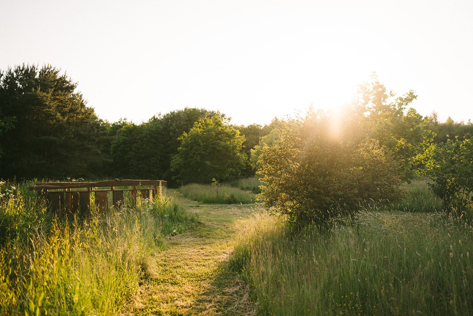 Gallery — Woodland Burial & Crematorium