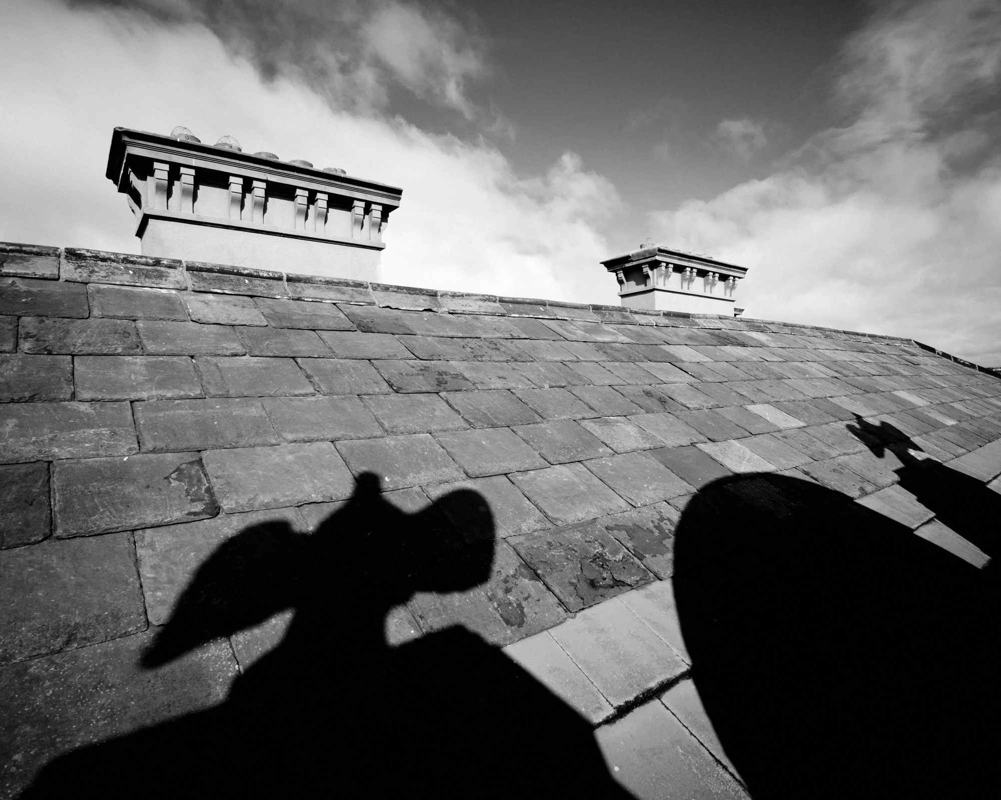 Loftus Hall 29. Chapter 6 header copy.jpg