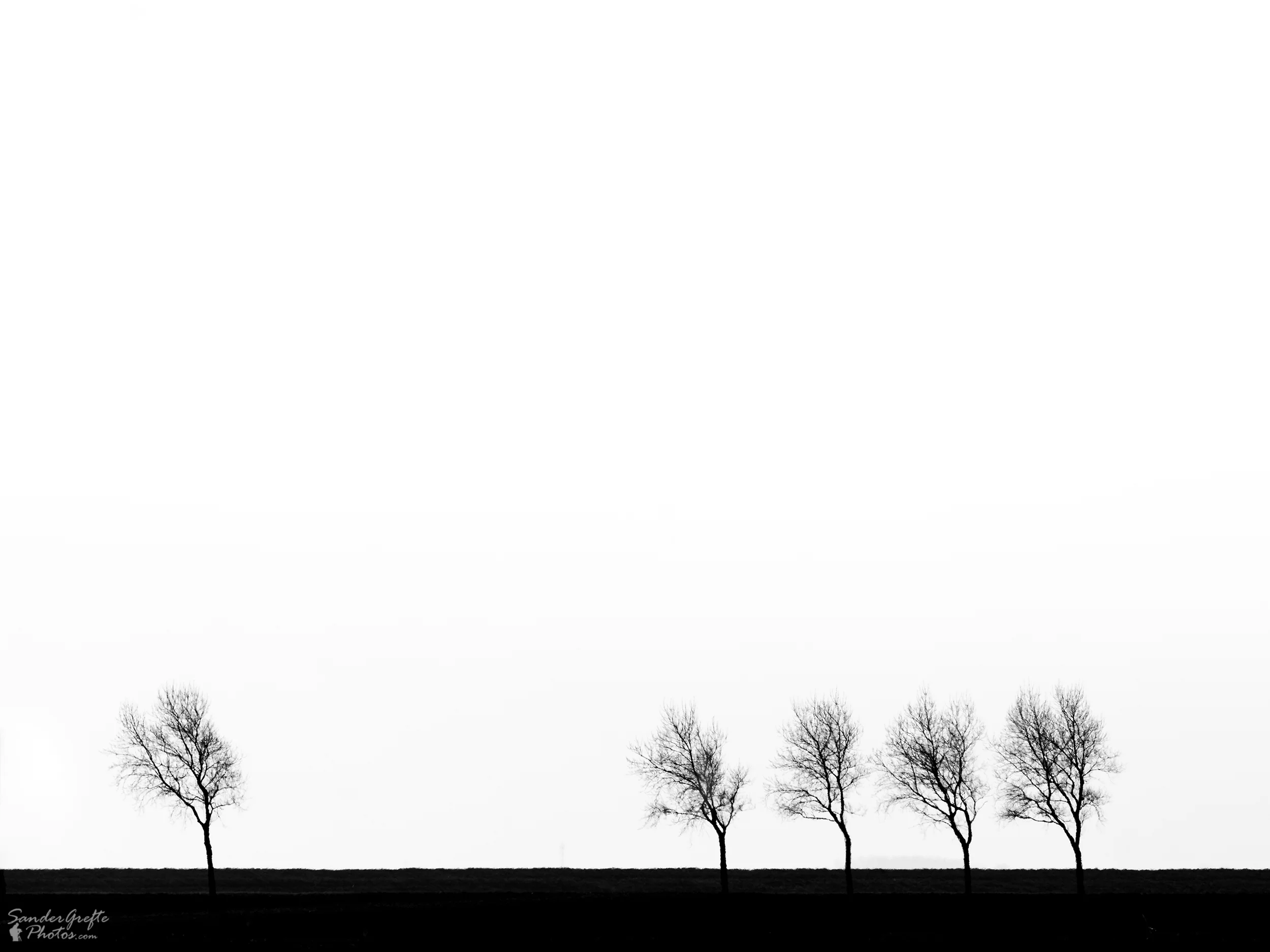 Bomen: 300mm, iso 100, f9, 1/640s