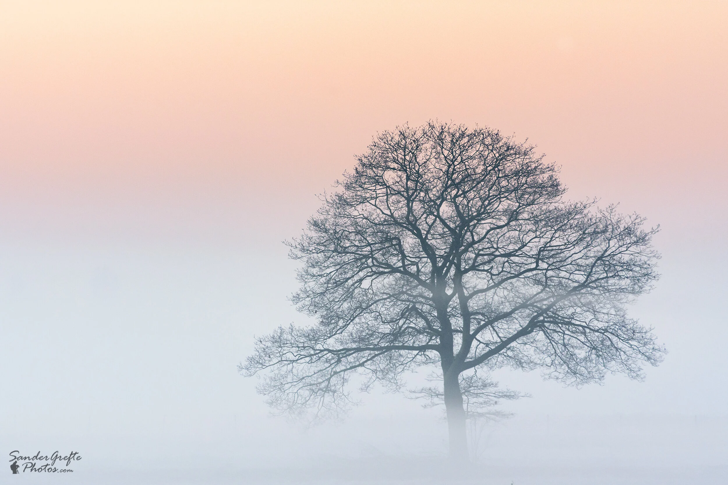 Website Landschap_3.JPG