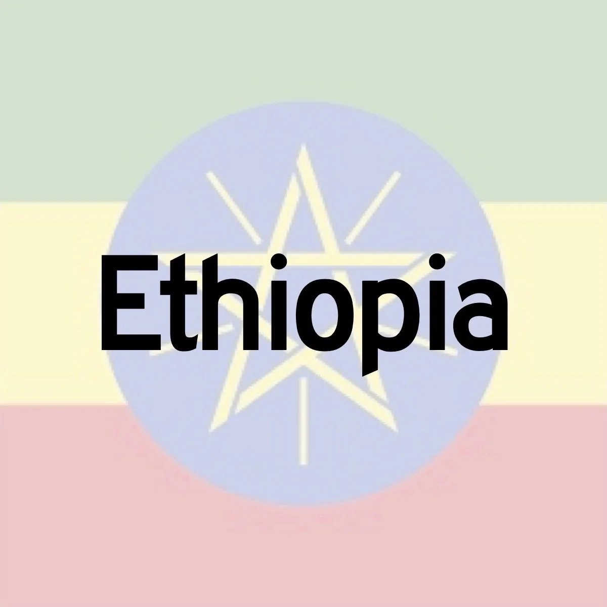 Ethiopia, Dimtu Tora Organic