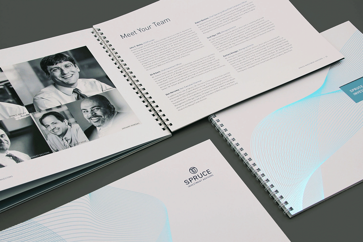 Spruce_BrandSuite_Brochures_resize.png