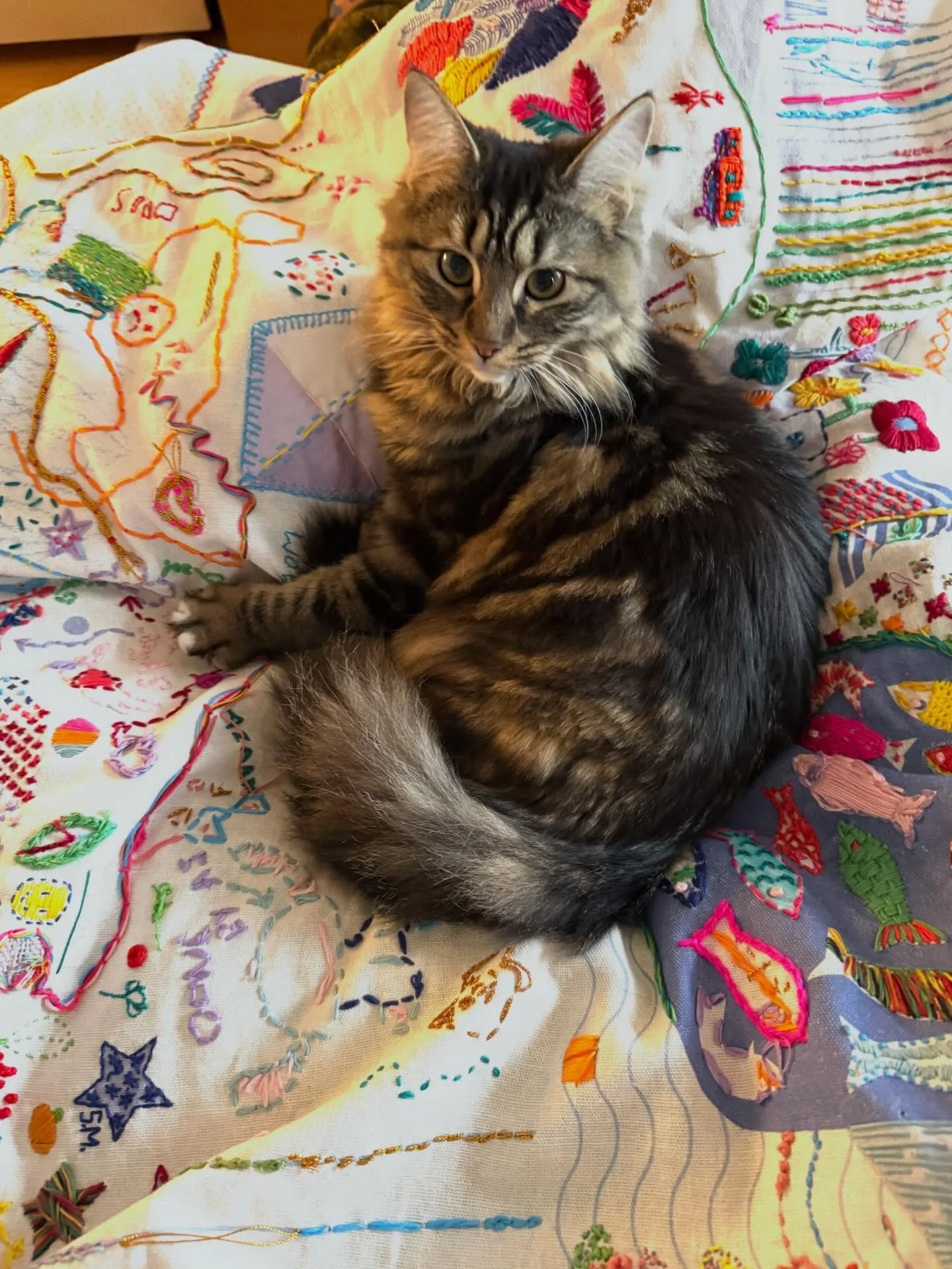 Kittens found the embroidery! #stitchschool #stitching