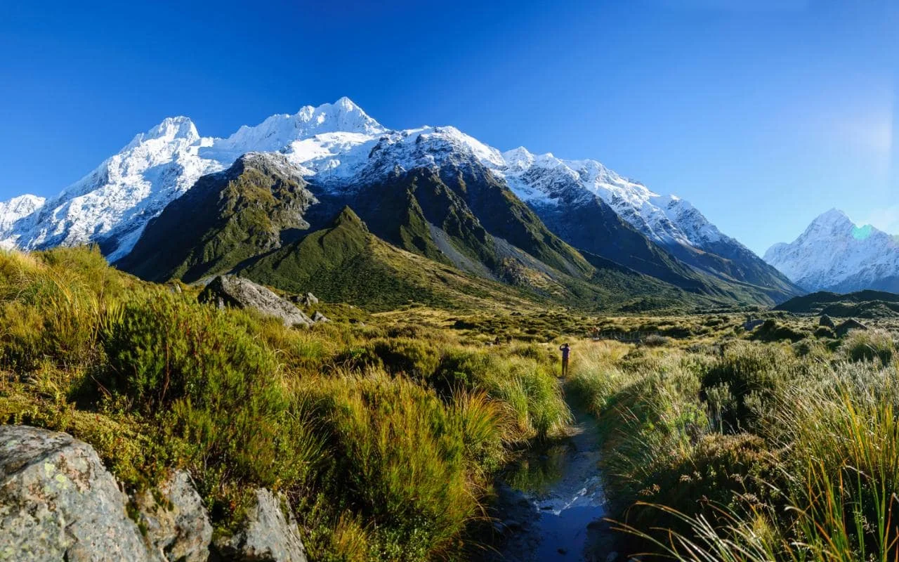 newzealand.jpg