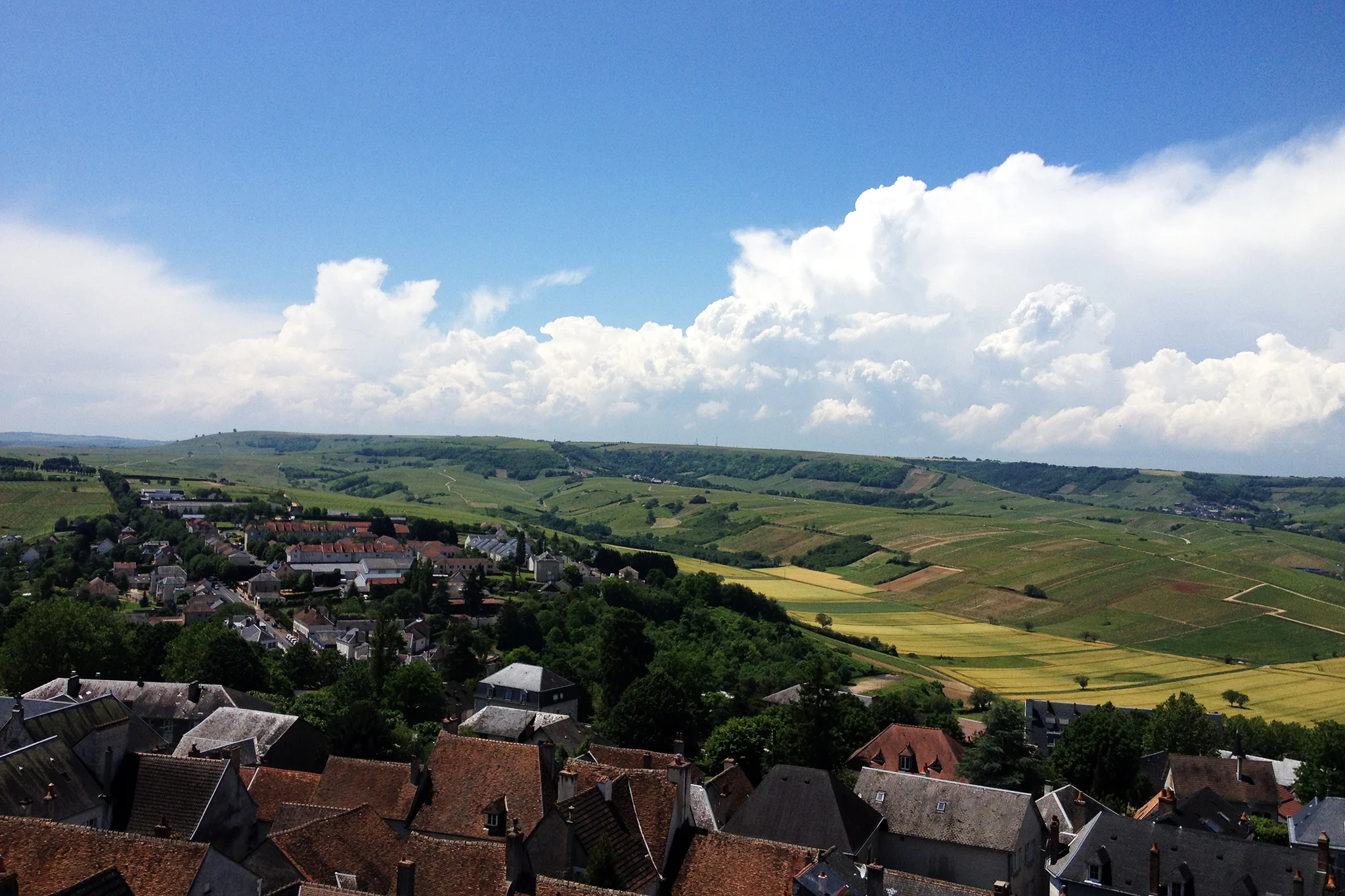 The rolling slopes of Quincy in the Central Loire Valley.